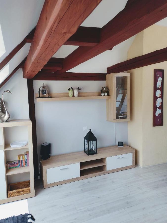 Pension Novy Den Albrechtice  外观 照片