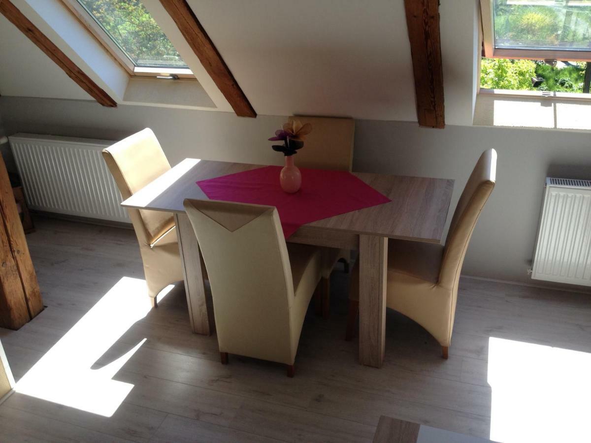 Pension Novy Den Albrechtice  外观 照片